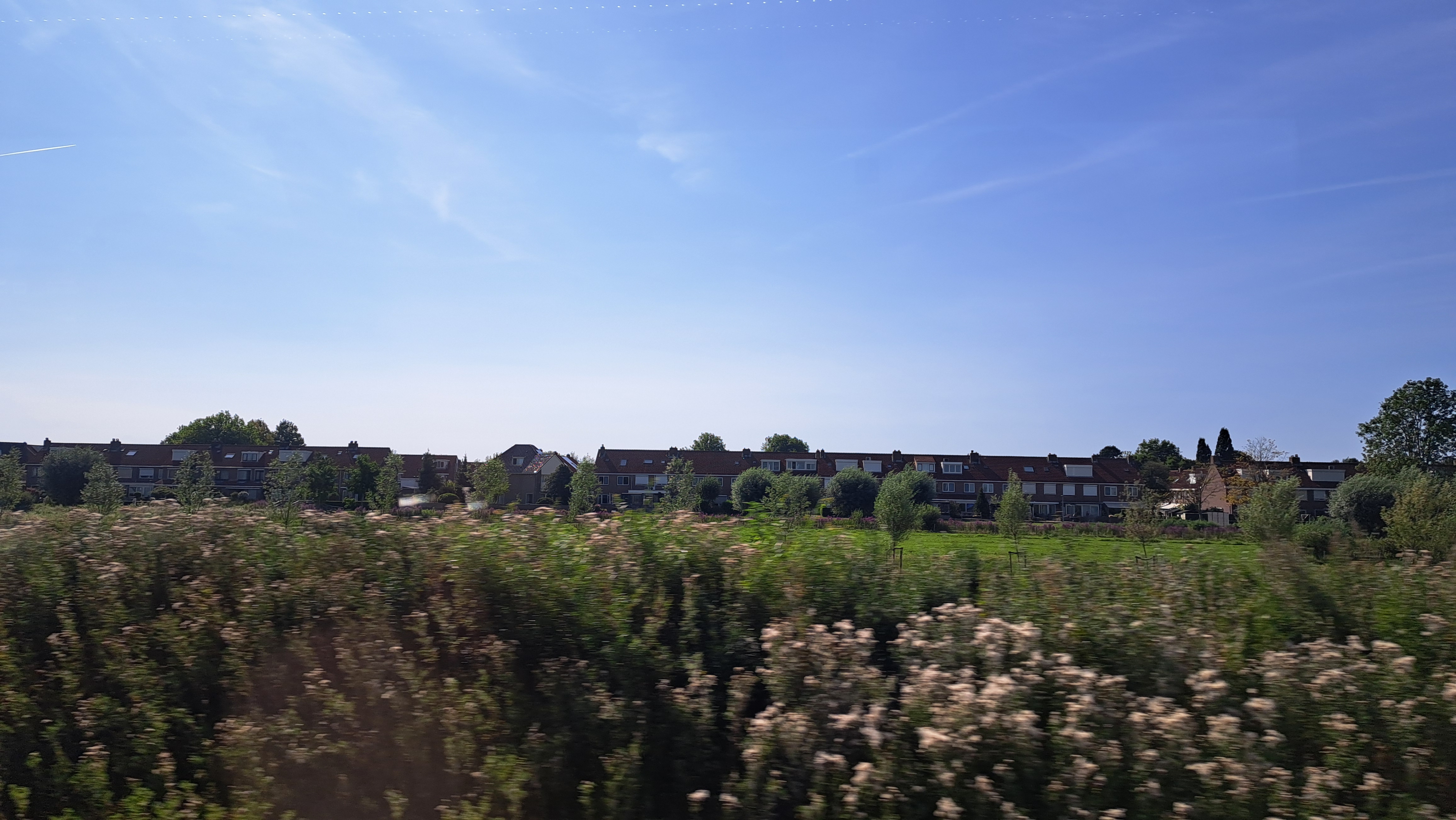 20260802_103510.jpg