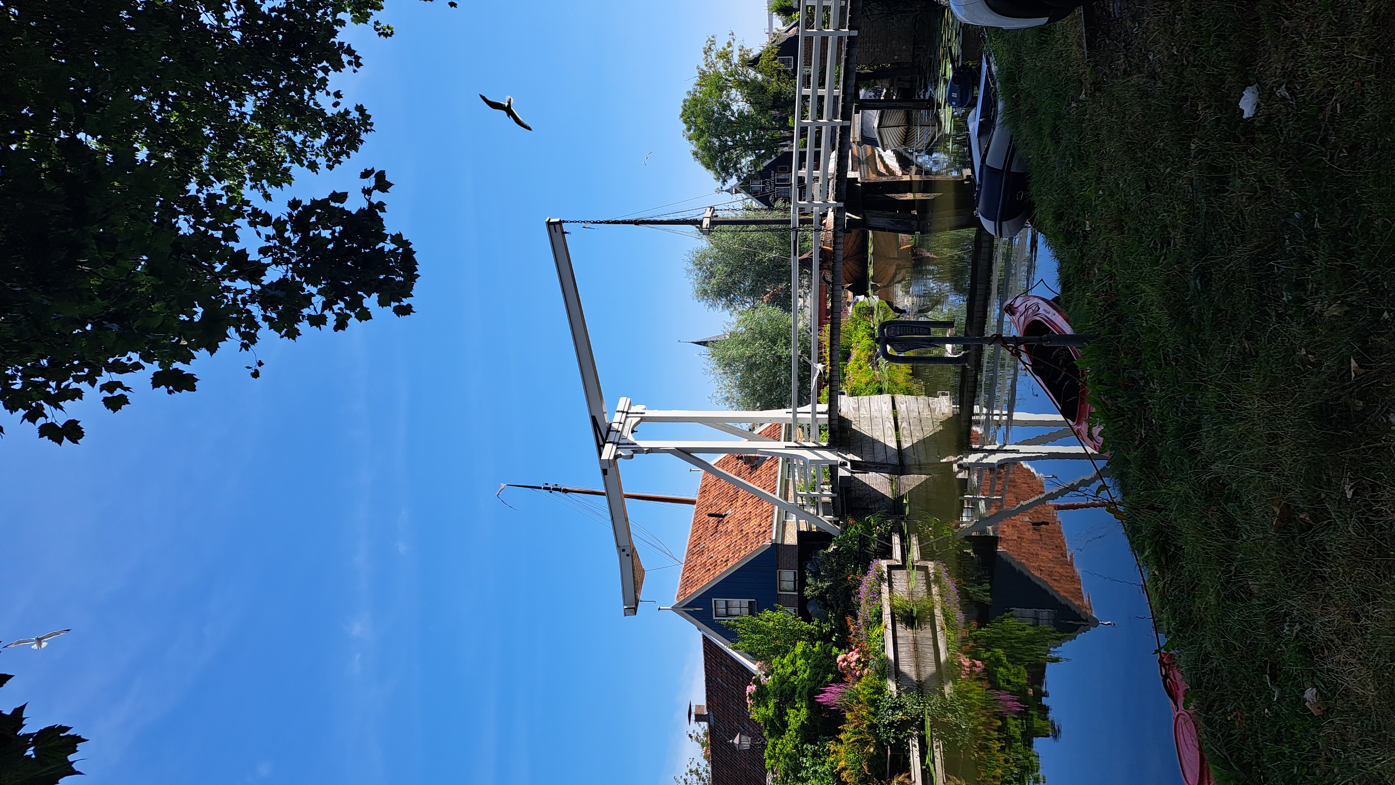 20260802_104446.jpg