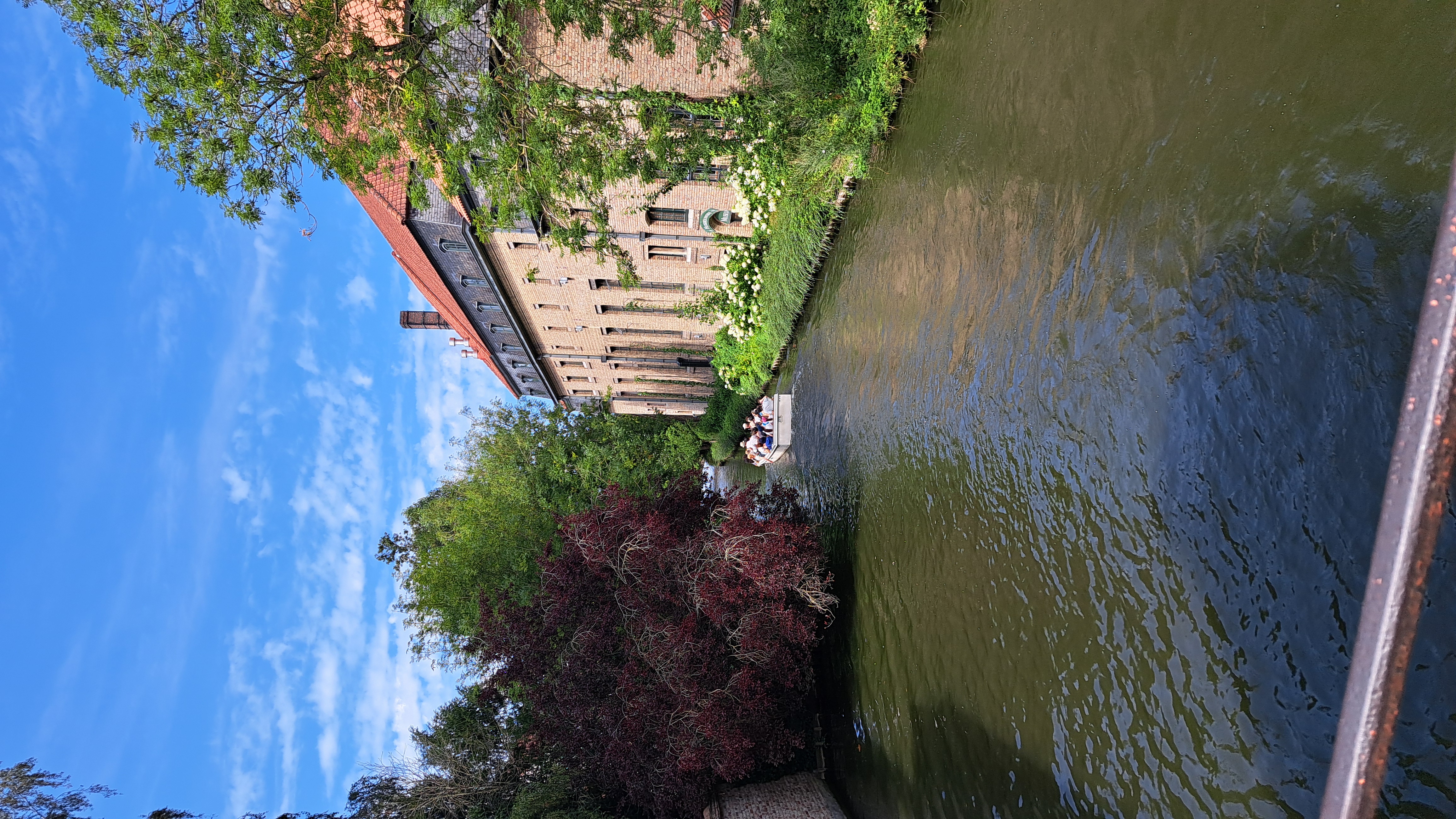 20260803_153151.jpg