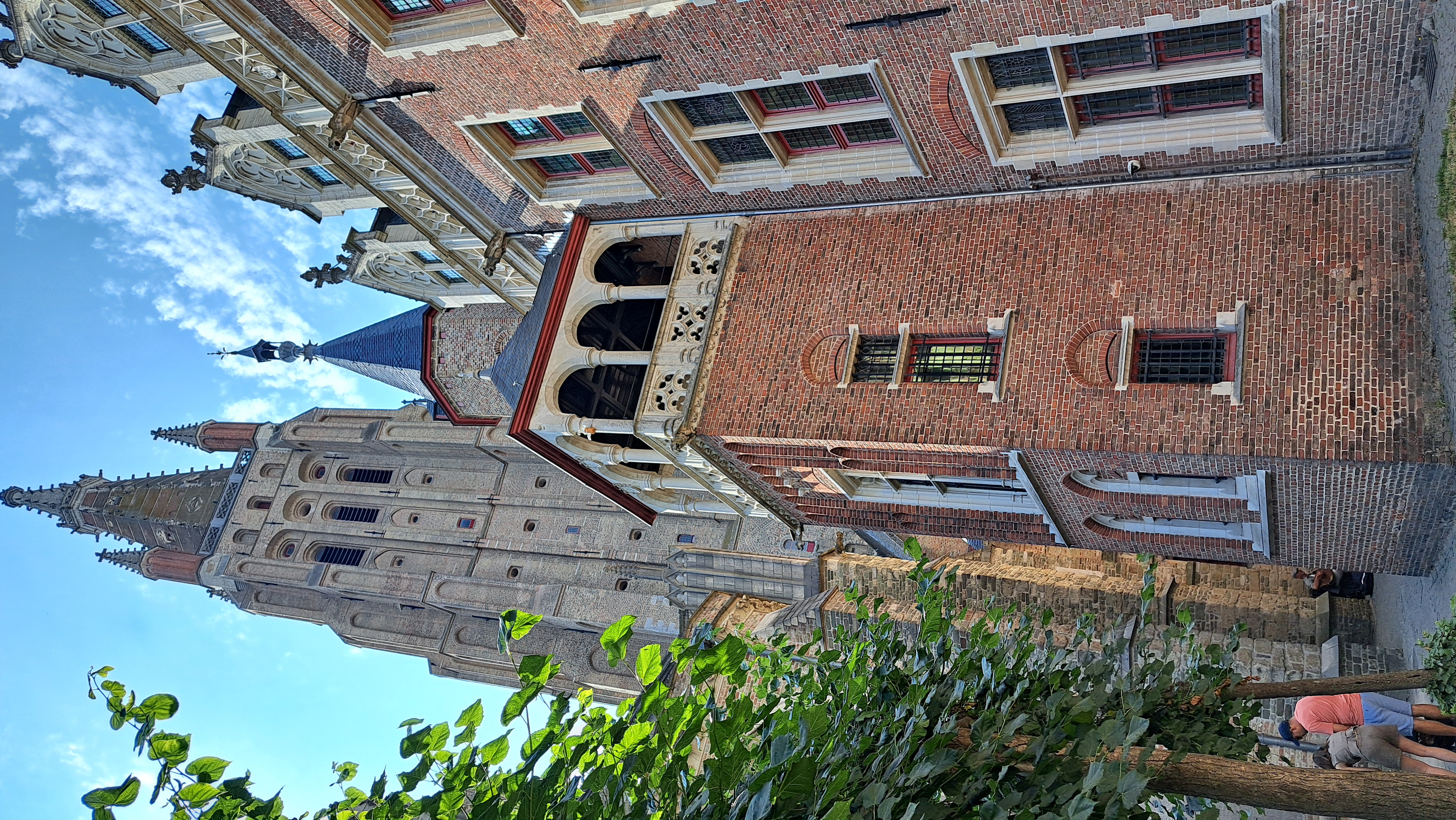 20260803_155803.jpg