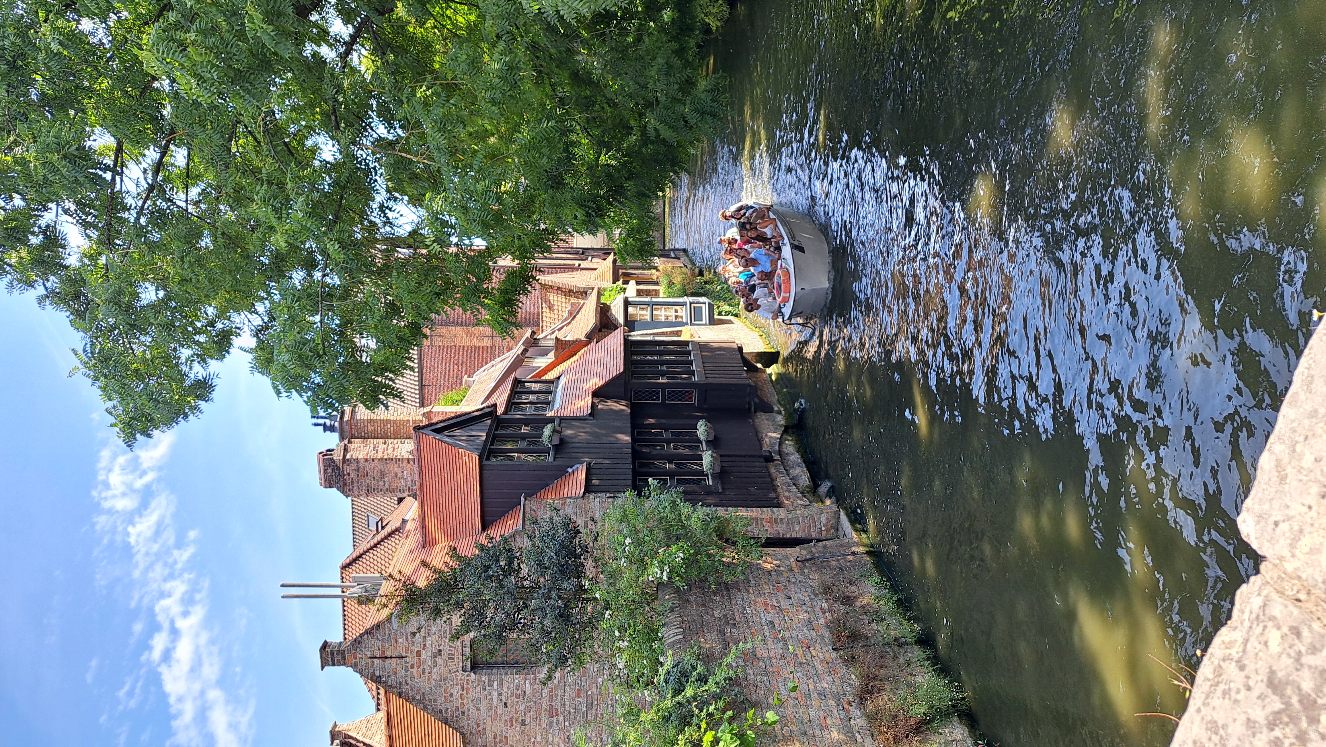 20260803_160118.jpg
