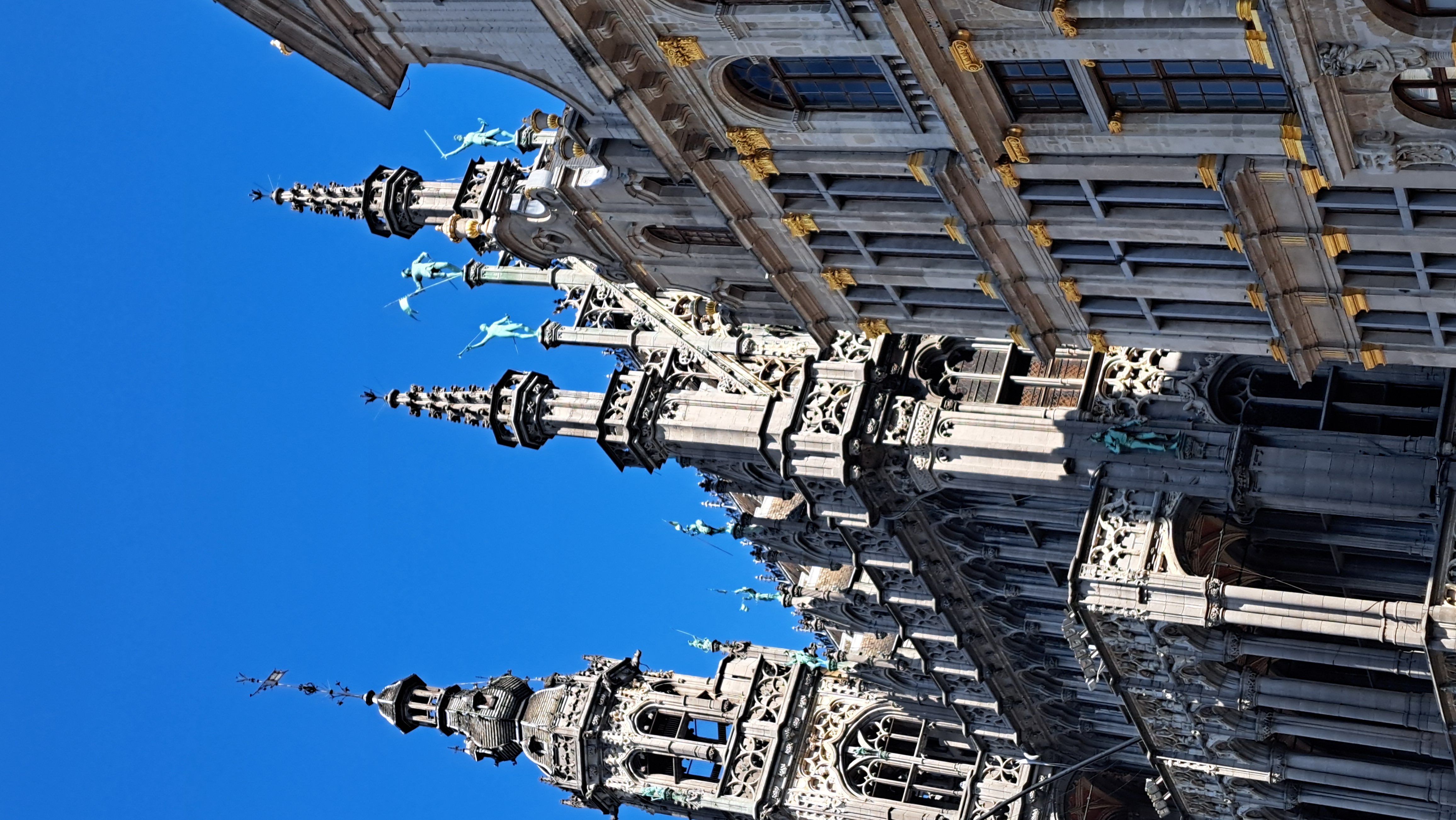 20260804_114633.jpg