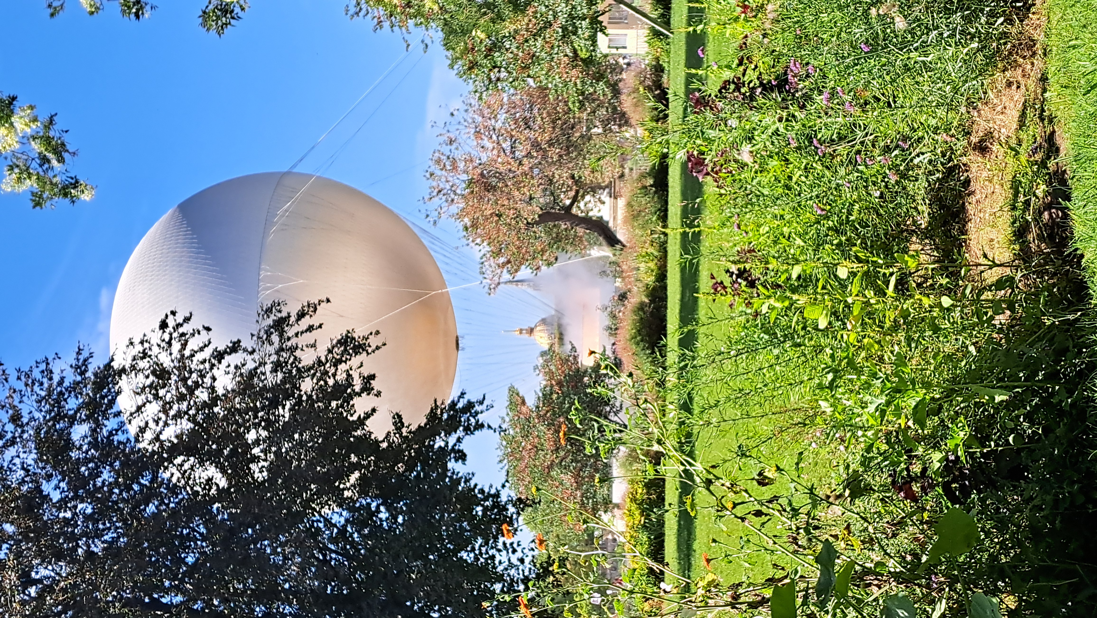 20260807_120534.jpg