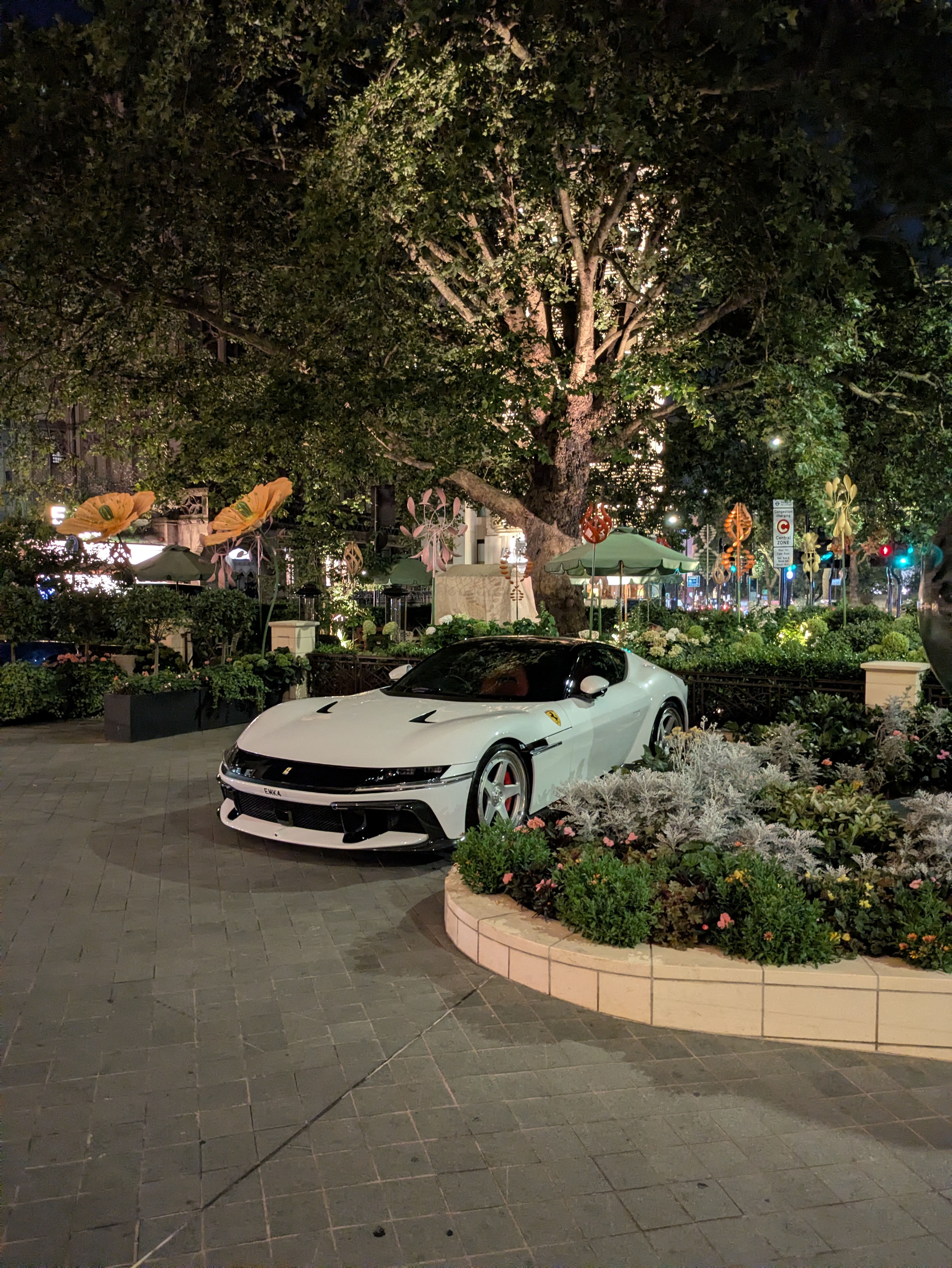 PXL_20260727_214344253.MP.jpg