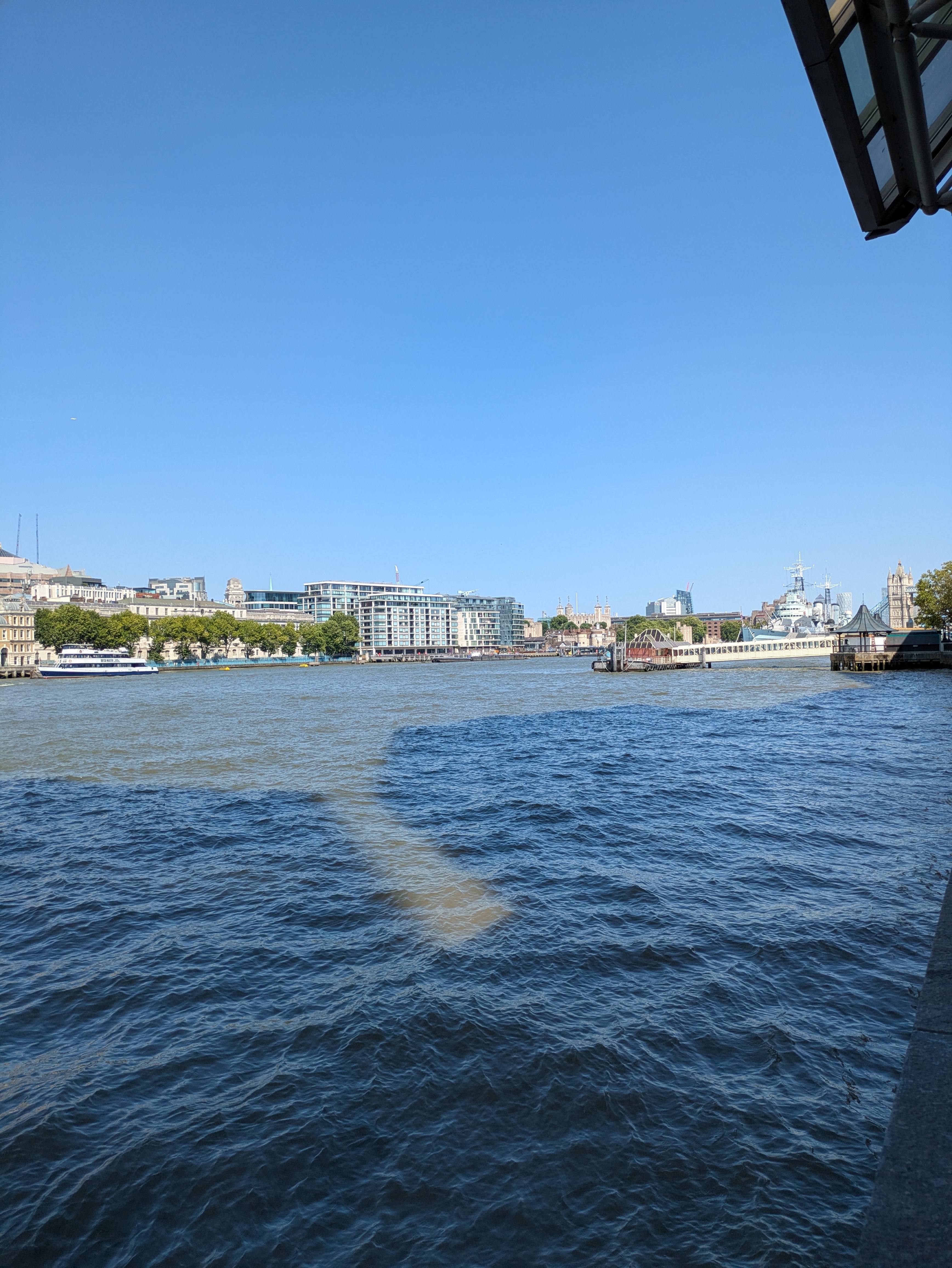 PXL_20260729_143843229.MP.jpg