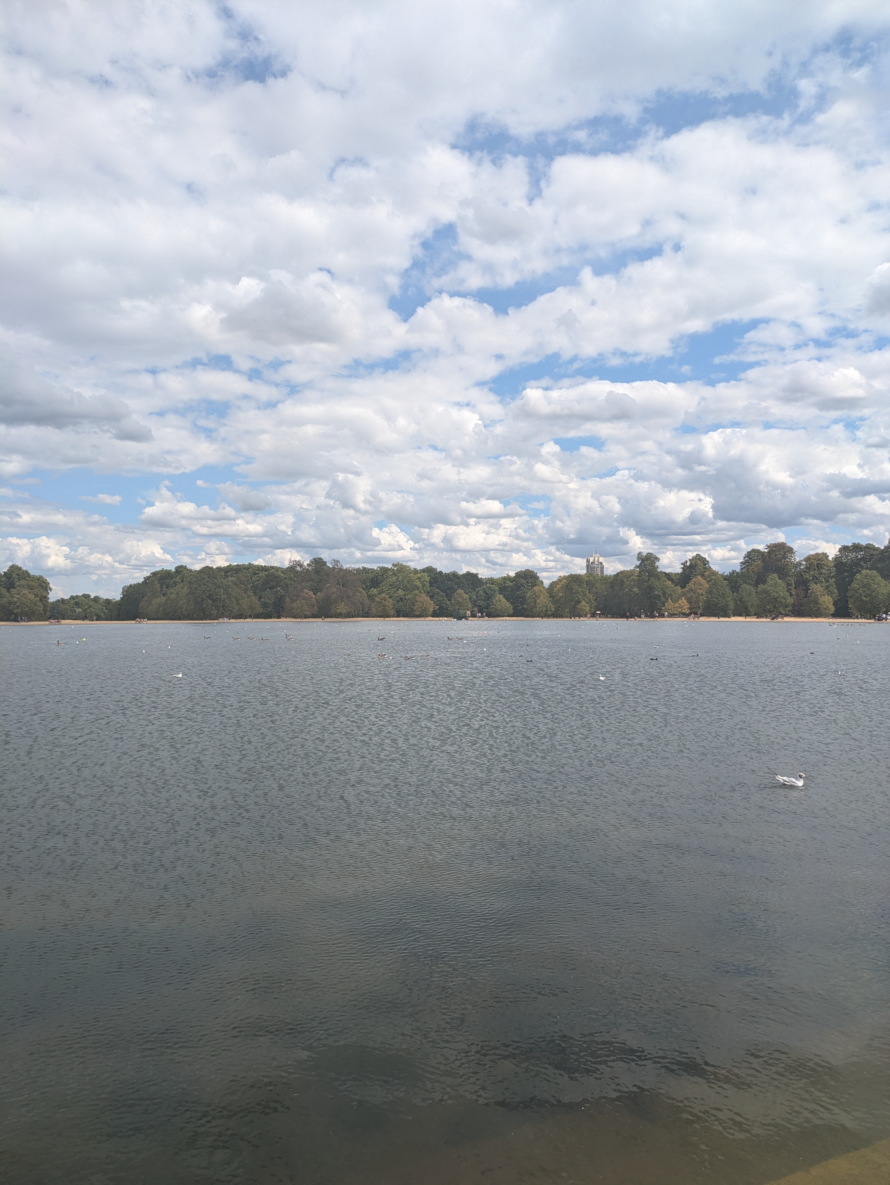 PXL_20260730_132427698.MP.jpg
