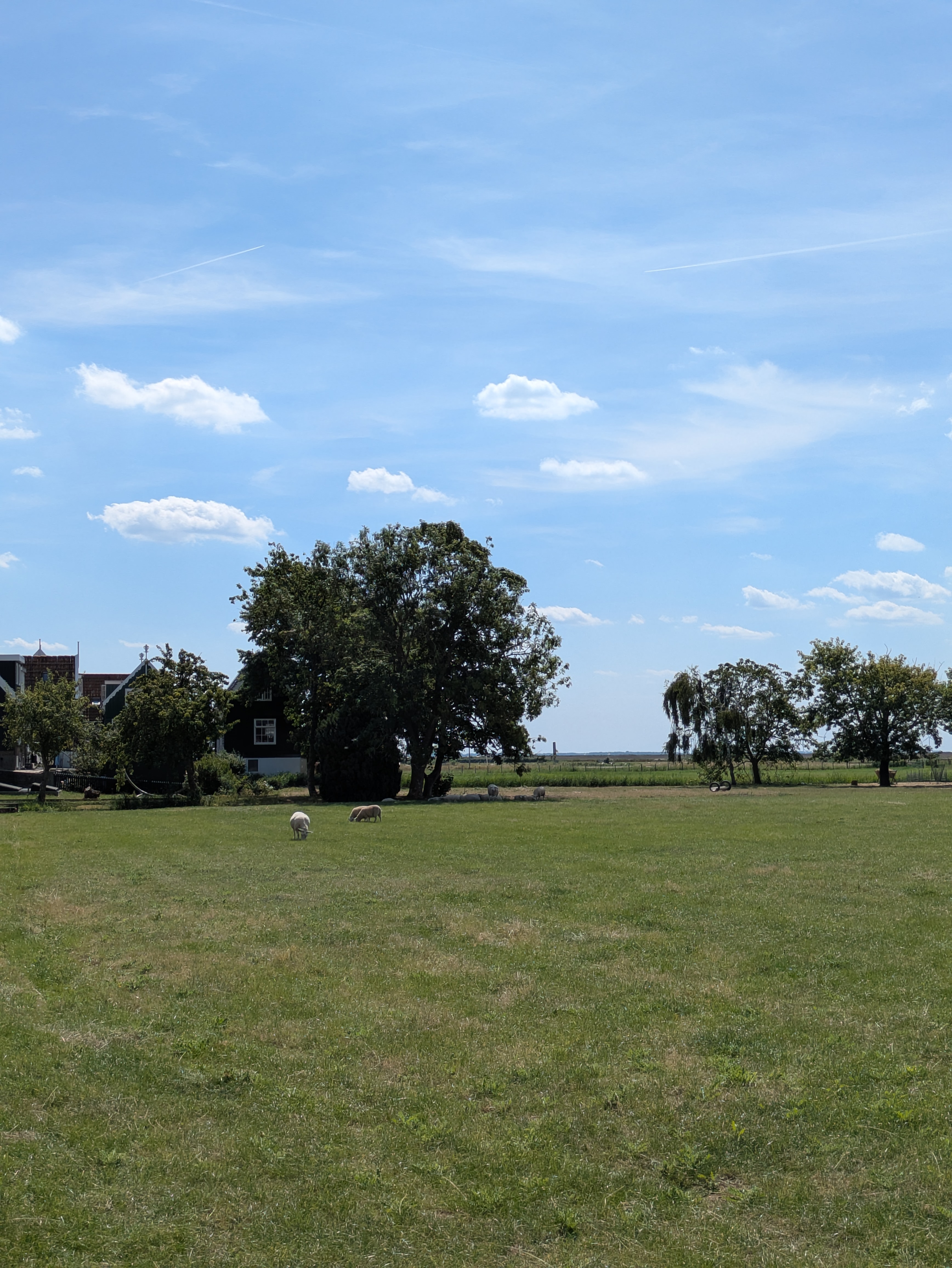 PXL_20260802_105000403.jpg