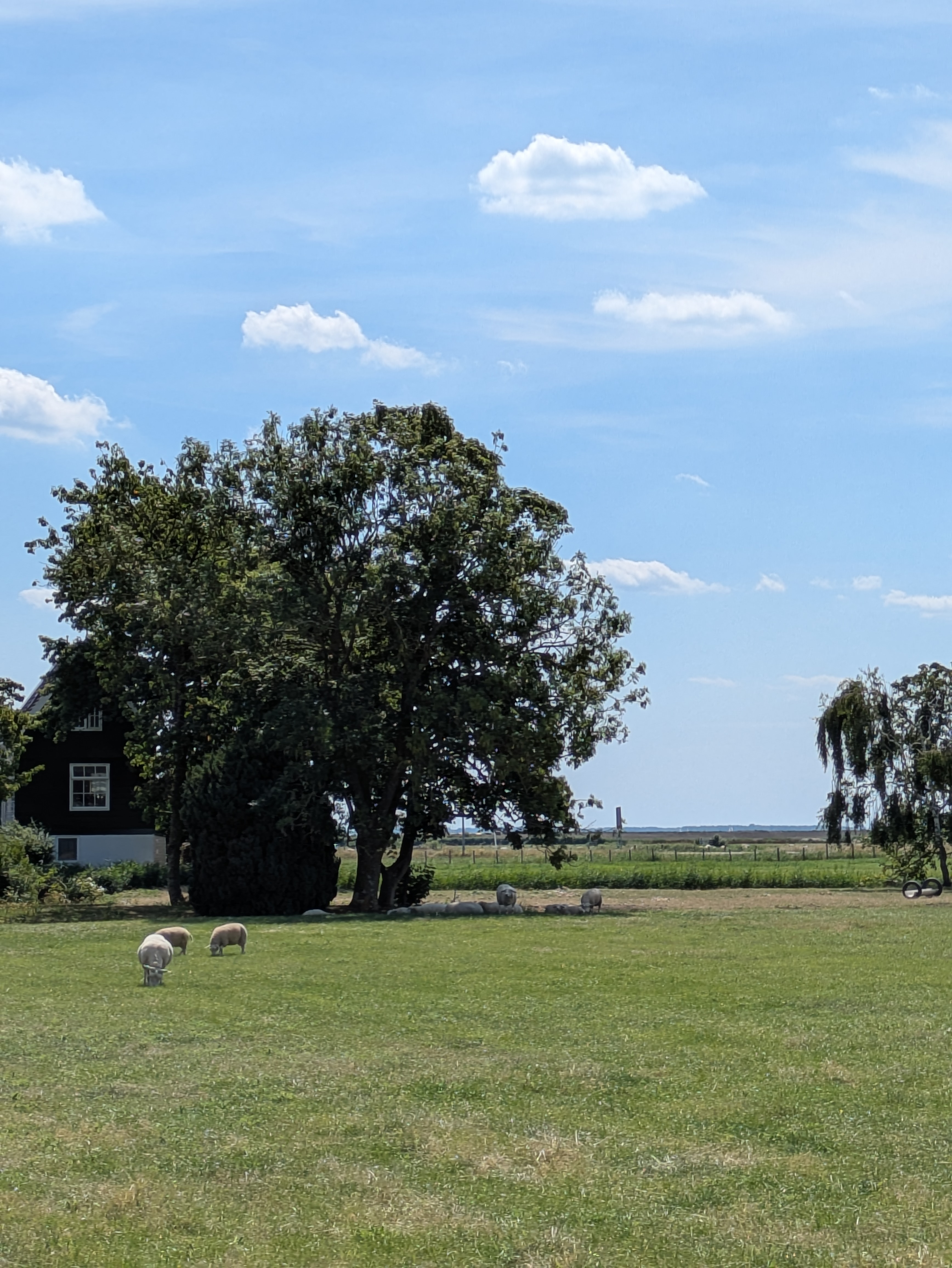 PXL_20260802_105006503.jpg