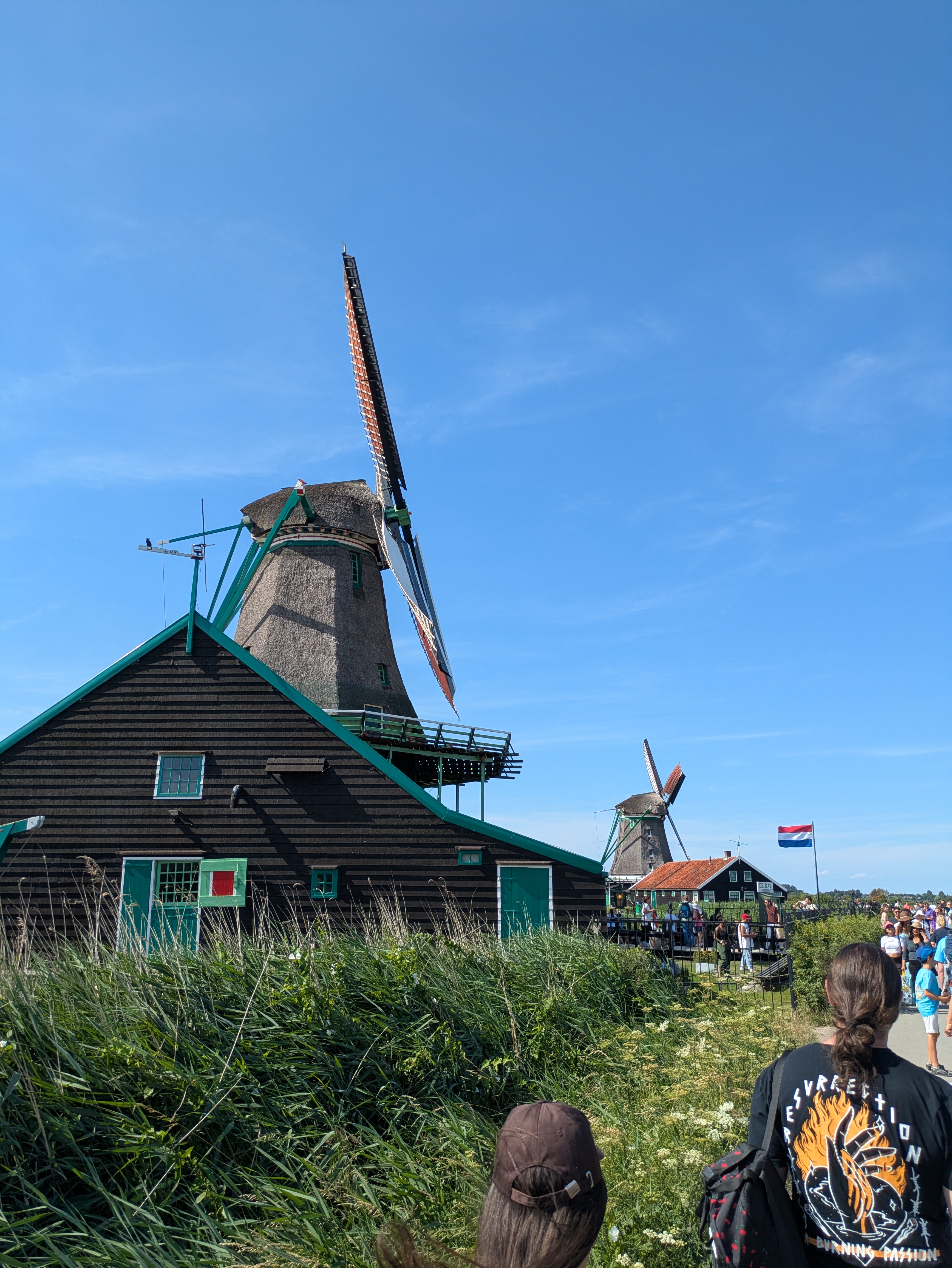 PXL_20260802_142804386.MP.jpg