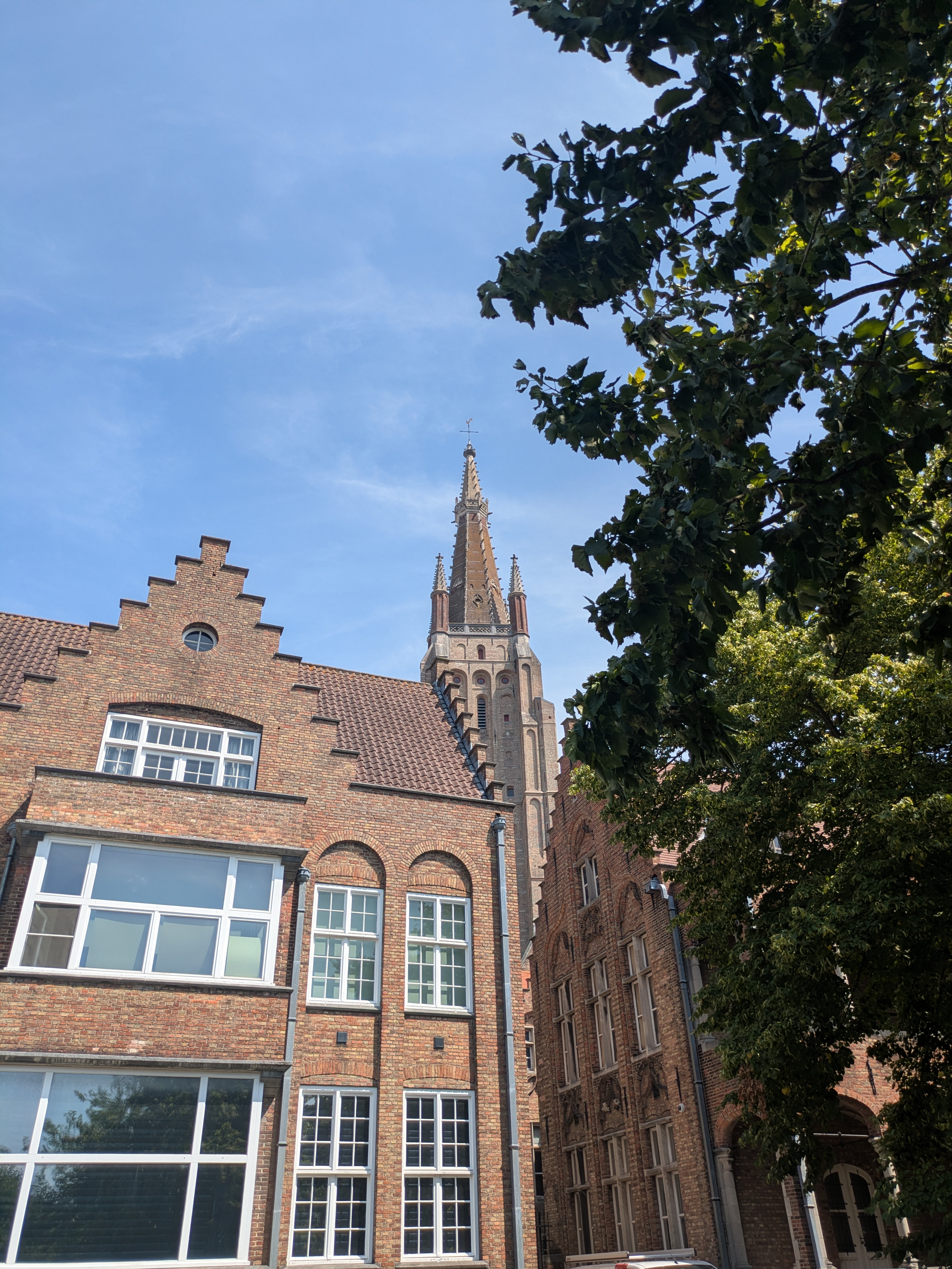PXL_20260803_120322319.jpg
