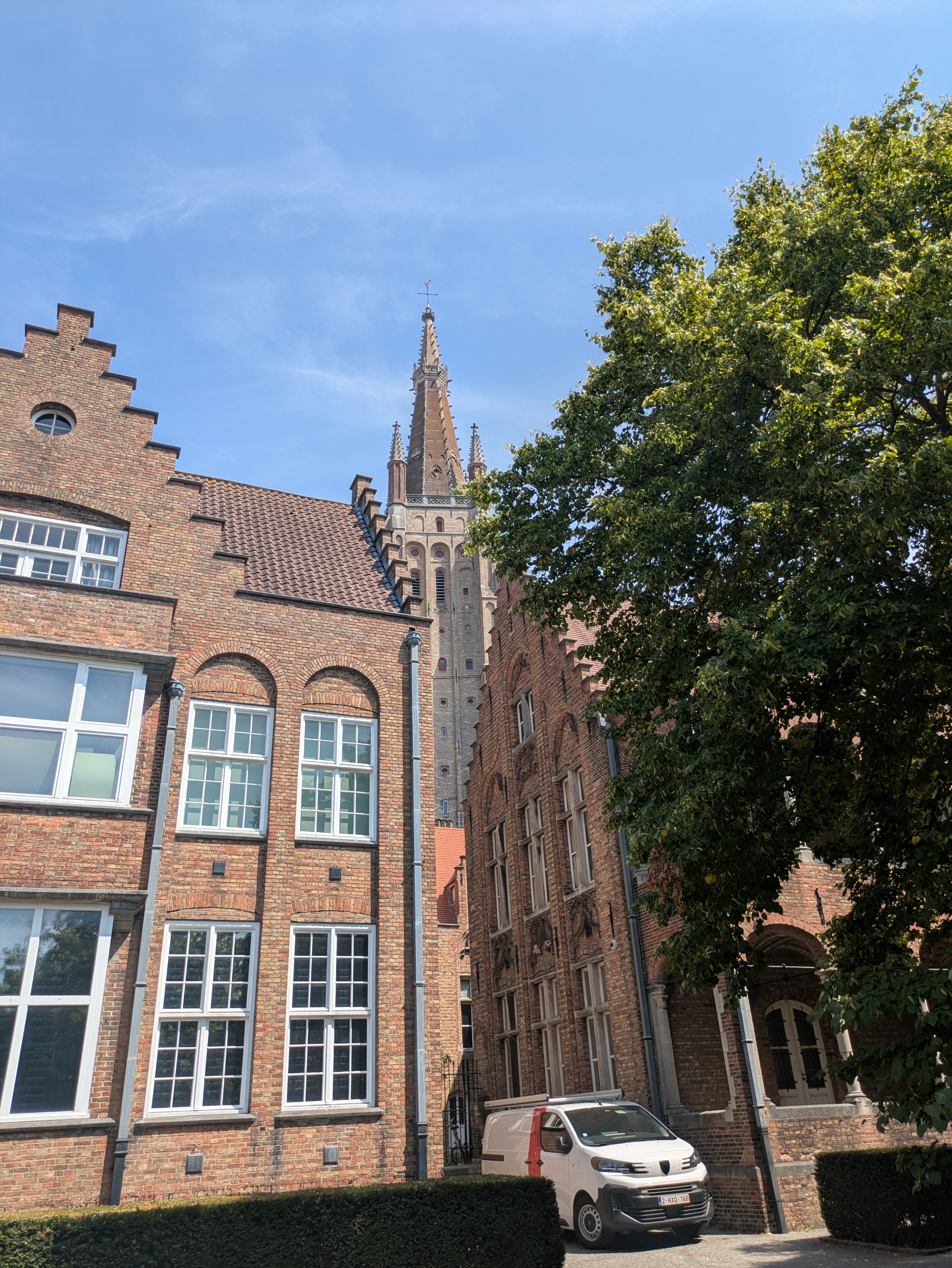 PXL_20260803_120333117.jpg