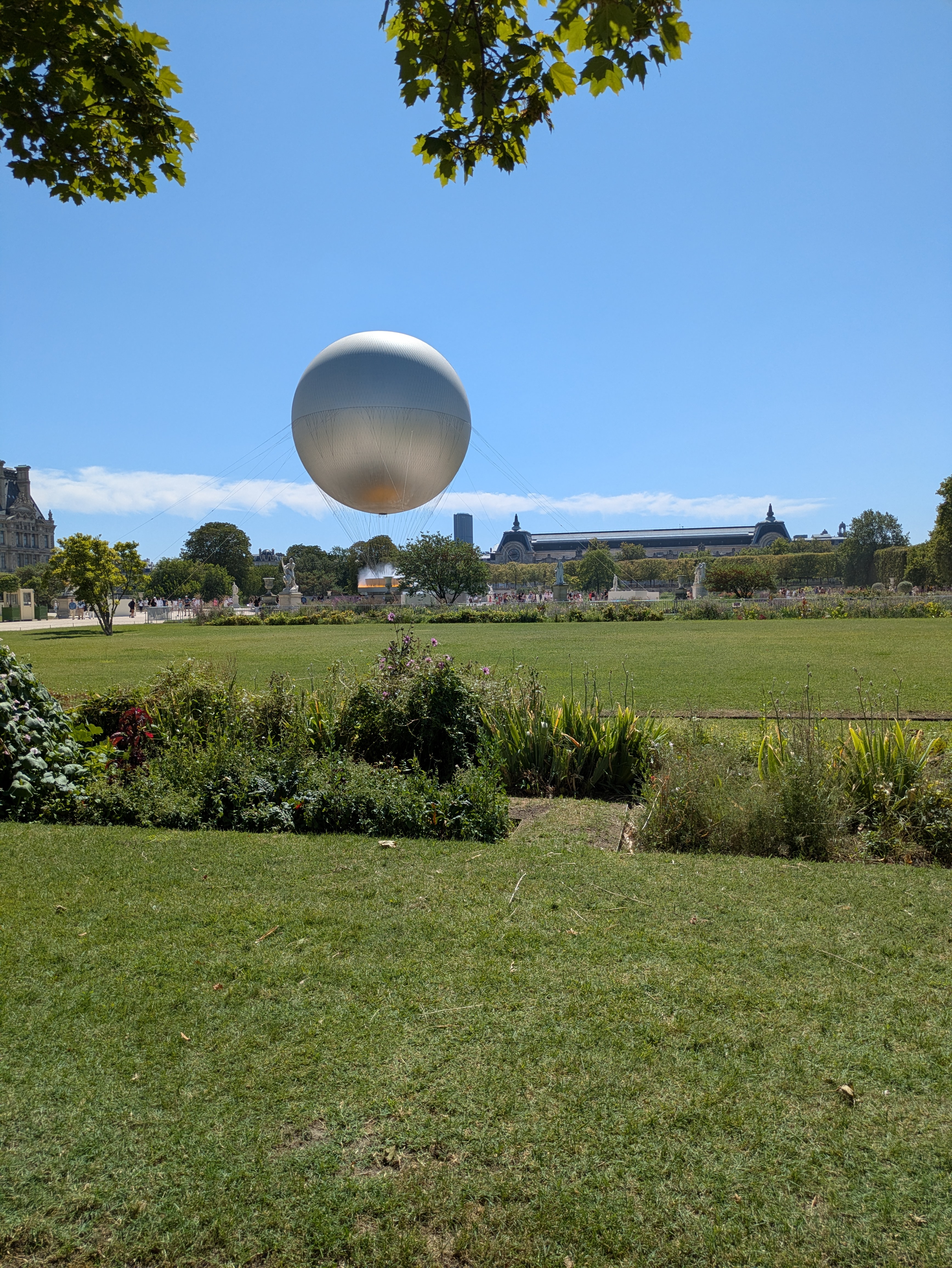 PXL_20260807_124338446.jpg