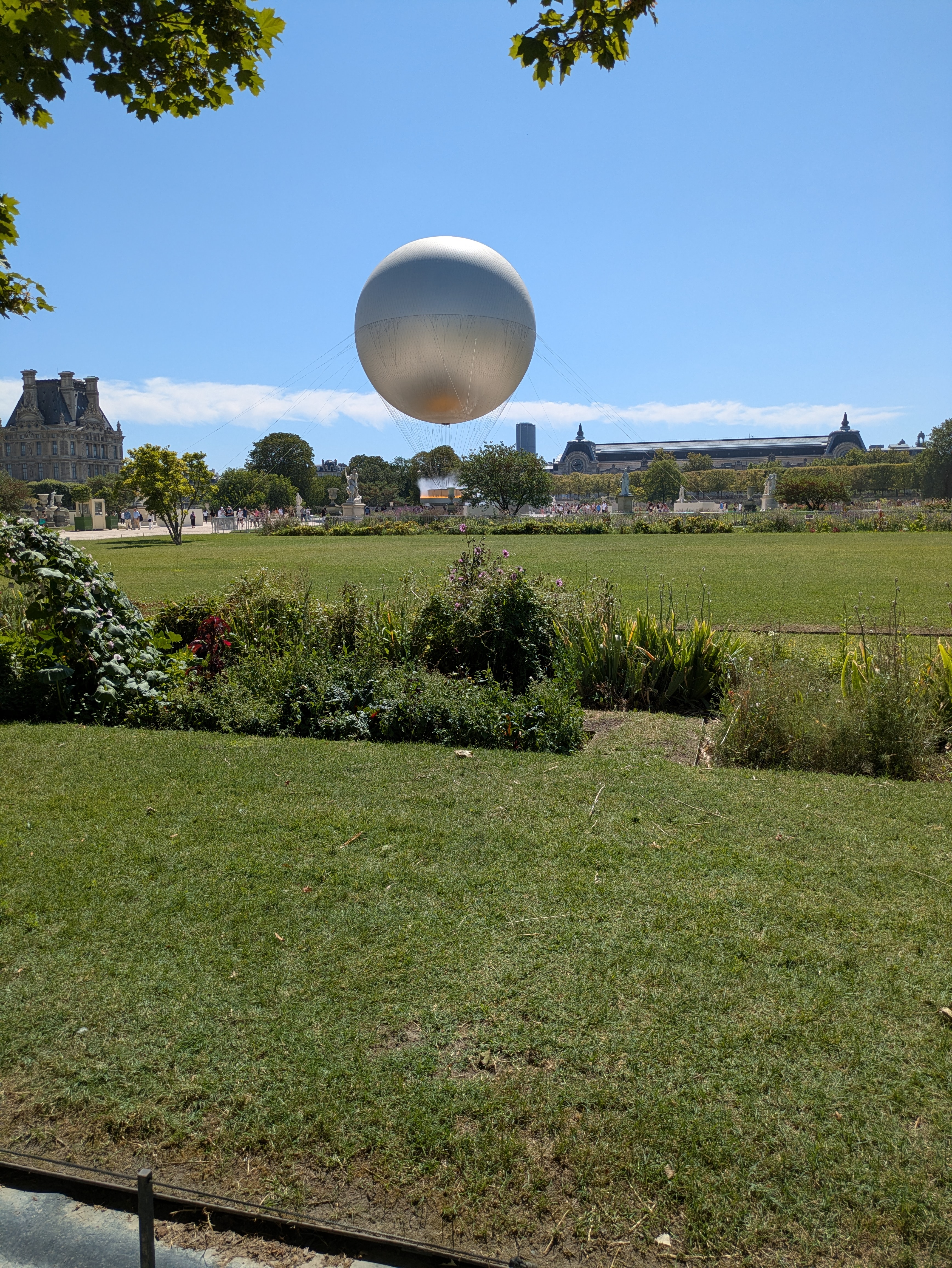 PXL_20260807_124341321.jpg